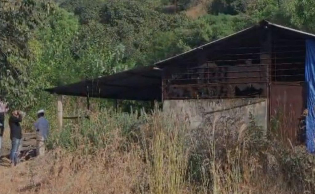 Shiv Sena Leader Under Scanner Drug Bust, Congress Reacts 17f3f83715bd829325651abe5ac1c2b3