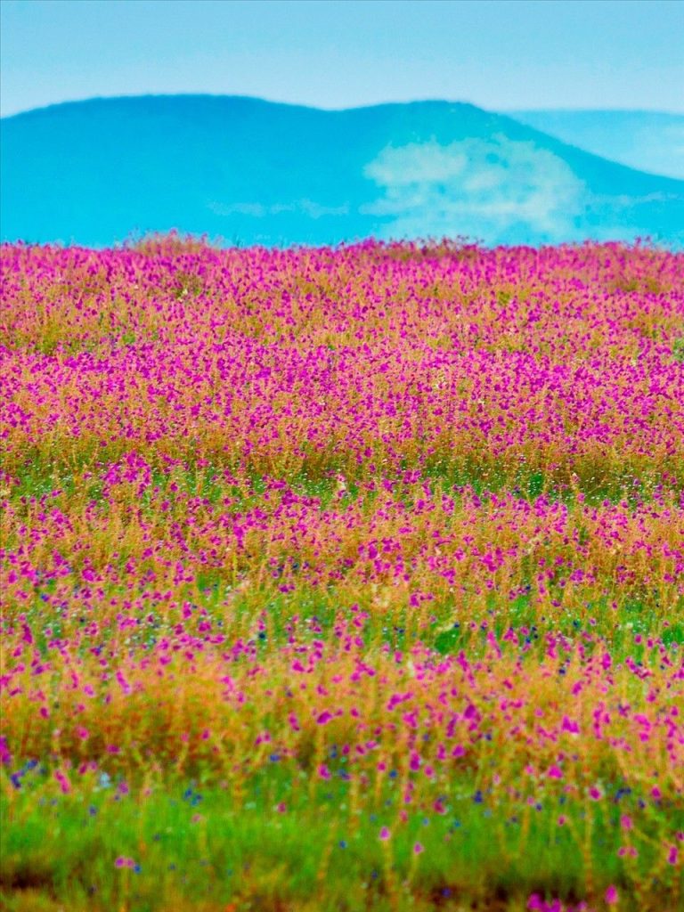 17f3f83715bd829325651abe5ac1c2b3